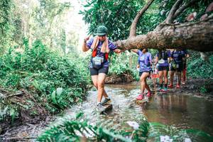 BIB: 
                            <button type="button" onclick="openModal(25515891)" class="btn btn-primary btn-sm float-right btn-popup" data-toggle="modal" data-target=".modal-high-quality">
                        <i class="fas fa-shopping-cart"></i> Add to Cart
                    </button>
                                            <button type="button" onclick="isThisMe(25515891, true)" class="btn btn-success btn-sm float-right btn-popup btn-isme hidden" data-toggle="tooltip" data-placement="bottom" title="นี่คือรูปของคุณใช่ไหม คลิกที่นี่เพื่อเอาเข้าอัลบั้ม">
                        <i class="fas fa-plus"></i> Add to album
                    </button>
                    <button type="button" onclick="isThisMe(25515891, false)" class="btn btn-warning btn-sm float-right btn-popup btn-isnotme hidden">
                        <i class="fas fa-ban"></i> Remove from album
                    </button>